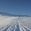 20050226_Oberegg_162